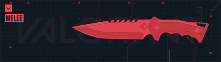 Valorant Card Banner